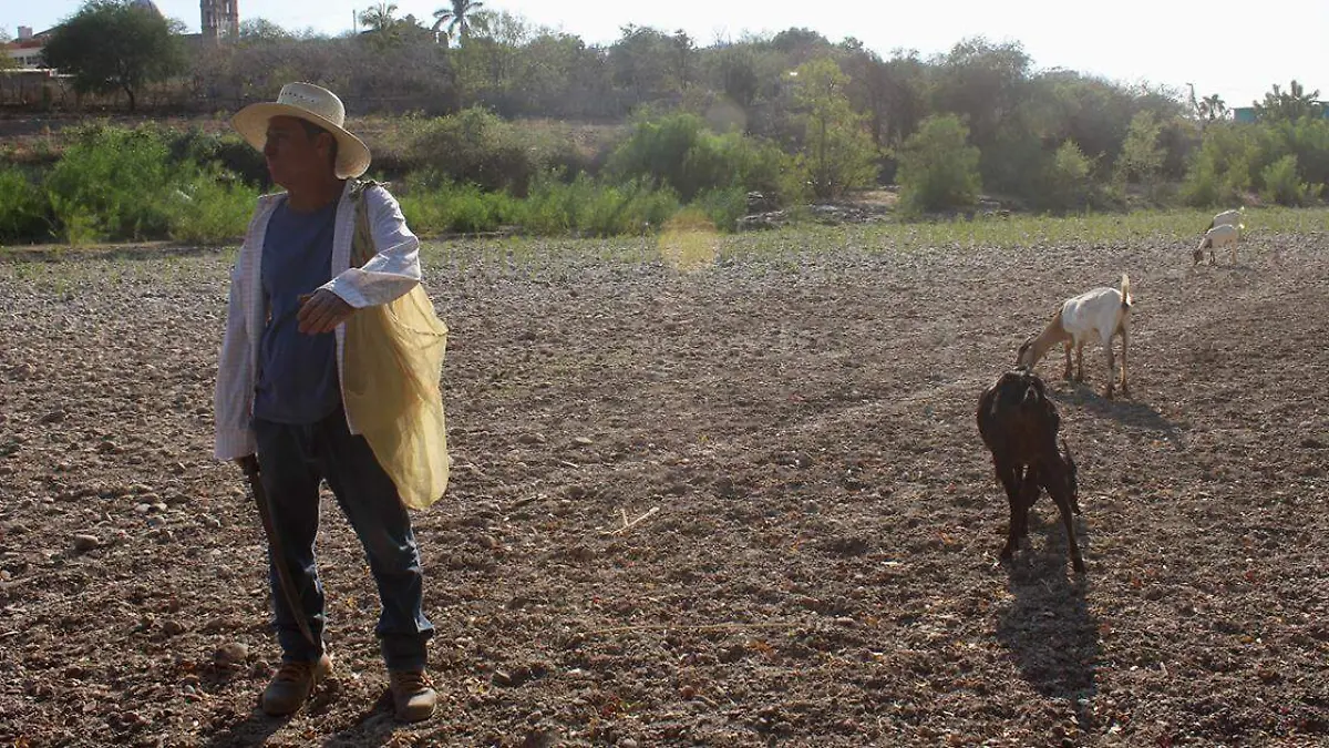 Estrés hídrico y pobreza obligan a migrar en 32 municipios de Puebla, revela estudio de la Ibero