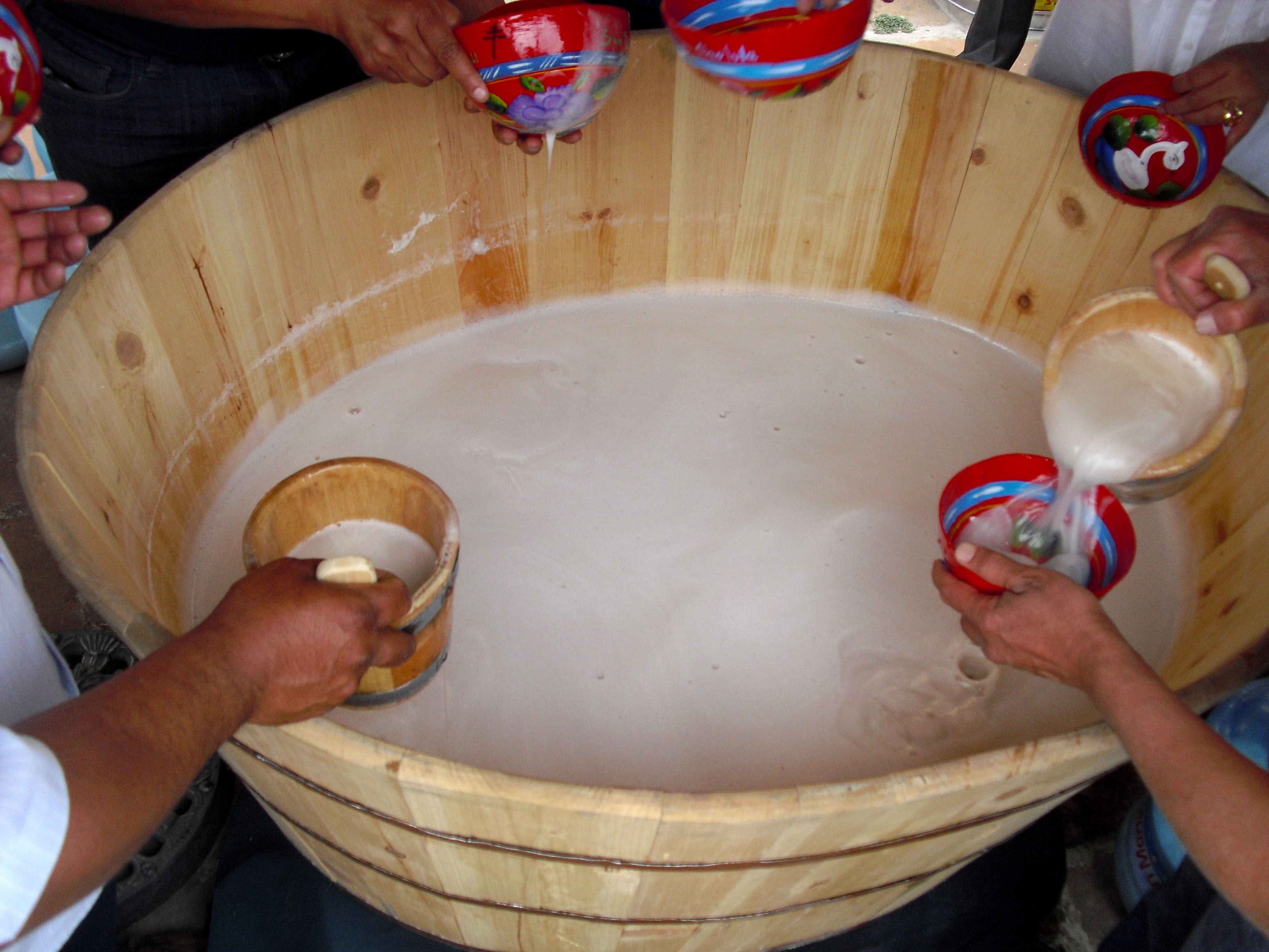 Tlaxcala alista la cata de pulque más grande del mundo para la Feria de Ferias 2026; buscarán Récord Guinness