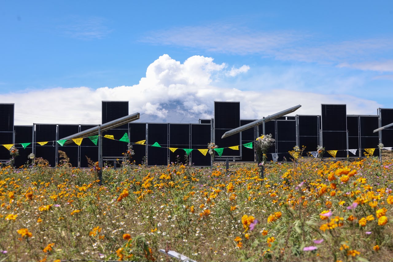 Alejandro Armenta inaugura en Tianguismanalco el primer sistema agrovoltaico del país
