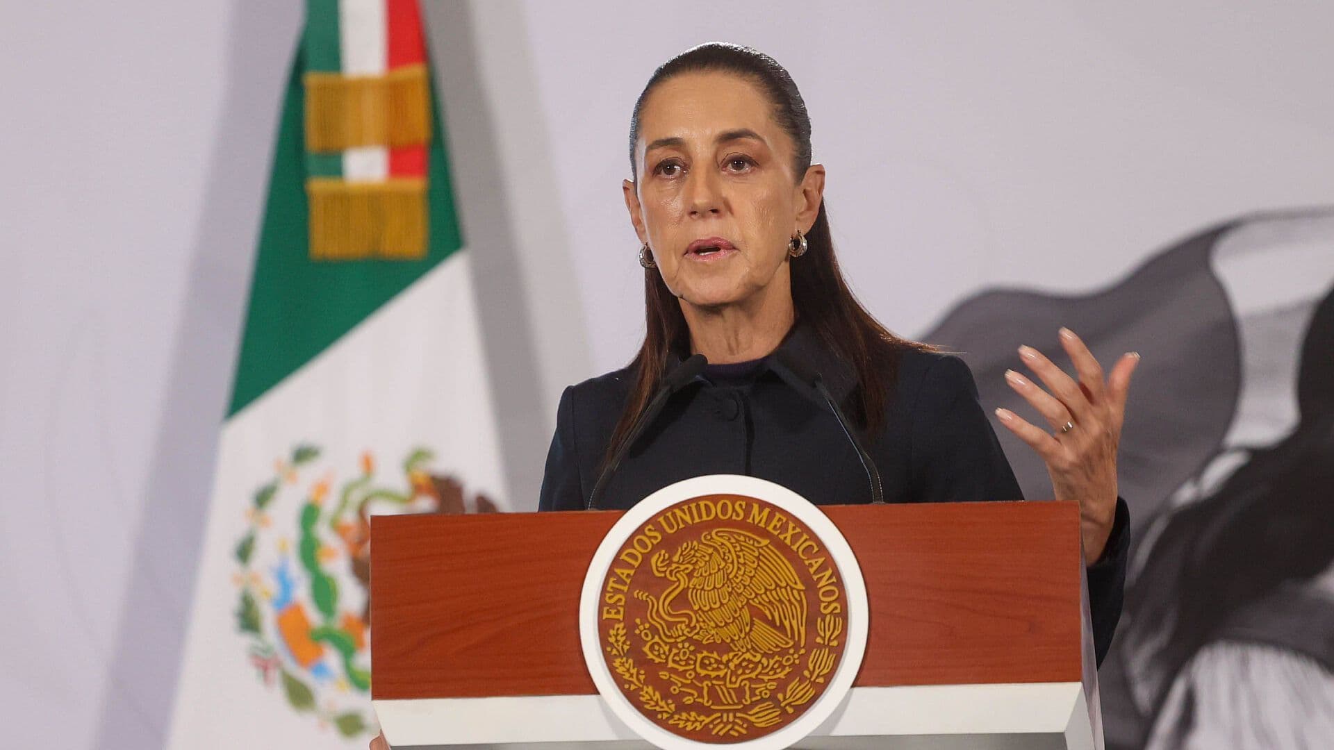 Sheinbaum presentará denuncias en México y Estados Unidos por la muerte de 17 mexicanos bajo custodia del ICE
