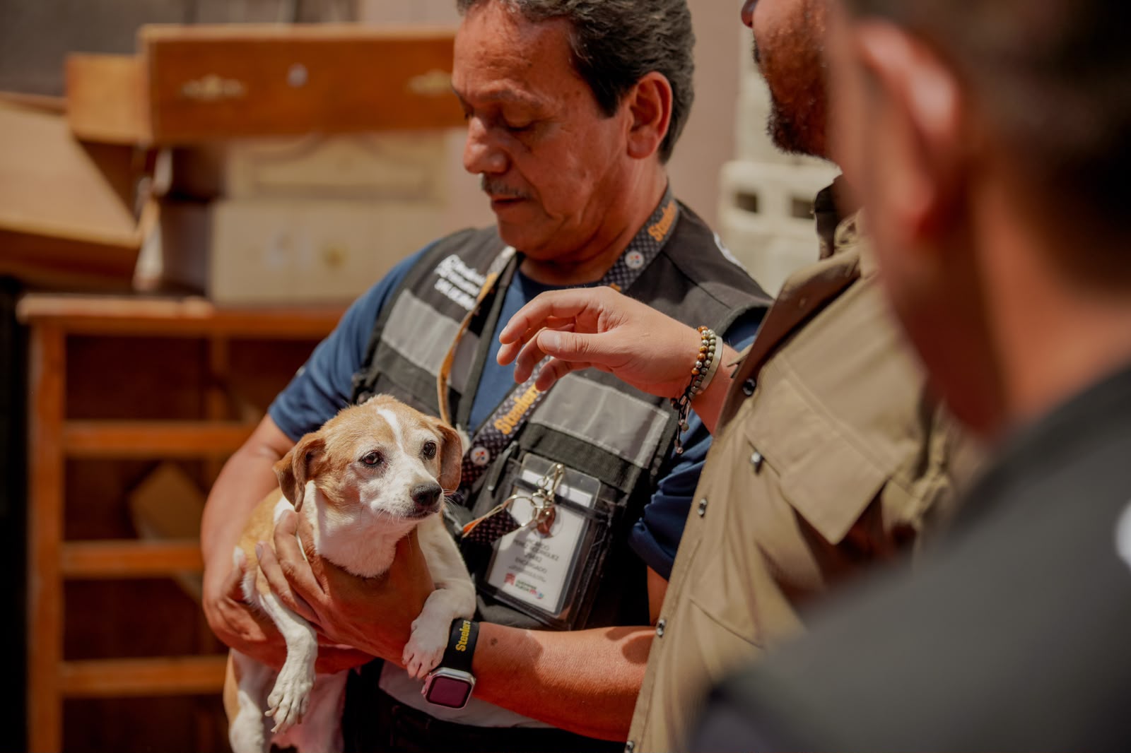 IBA alista 34 casos penales por crueldad animal en Puebla y exige a municipios asumir su responsabilidad