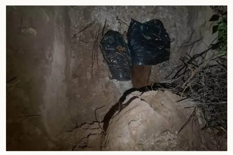 Hallan dos fosas clandestinas con restos de perros en Altepexi