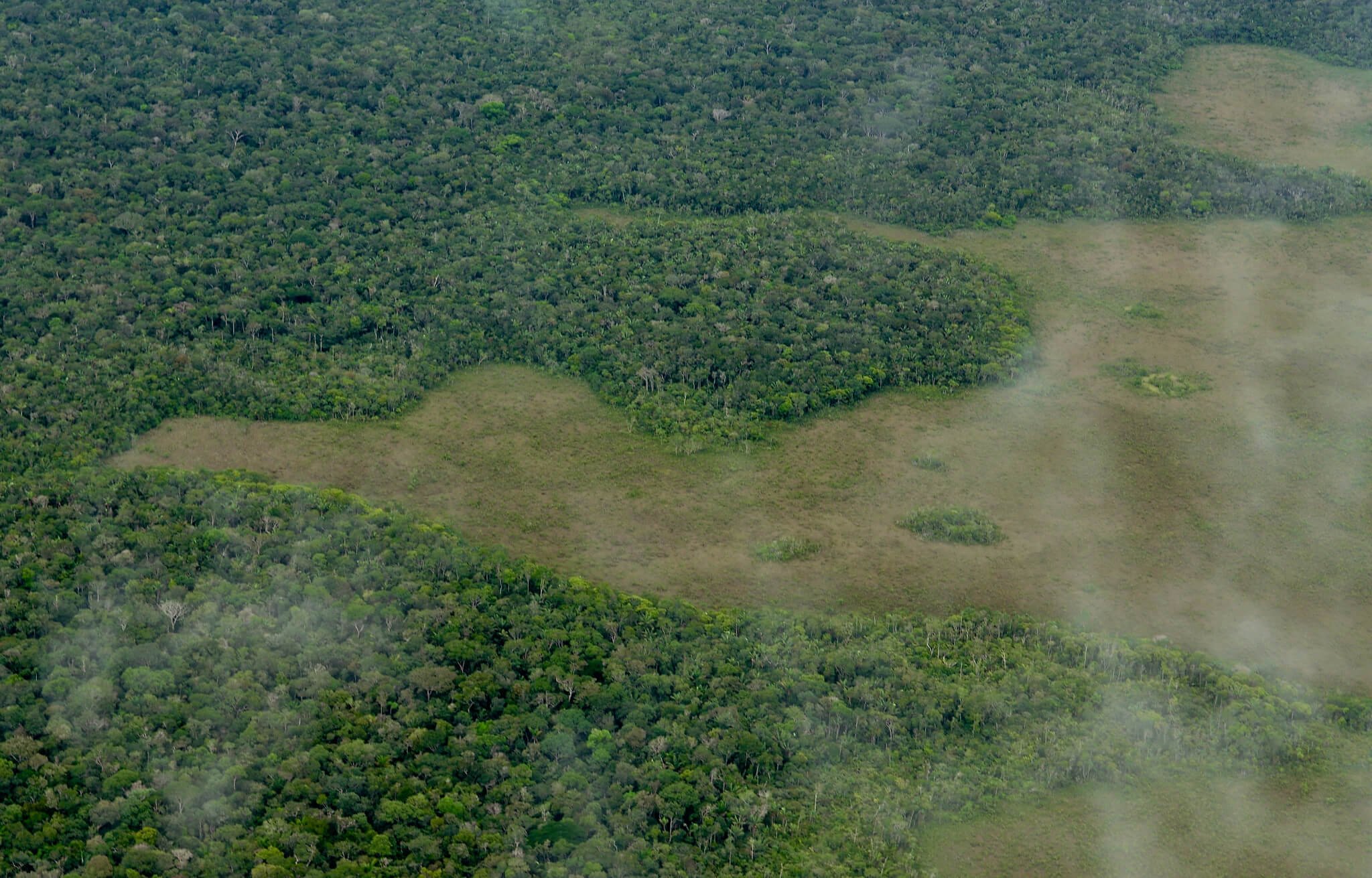 Conafor reduce hasta 82% el costo por cambio de uso de suelo en terrenos forestales