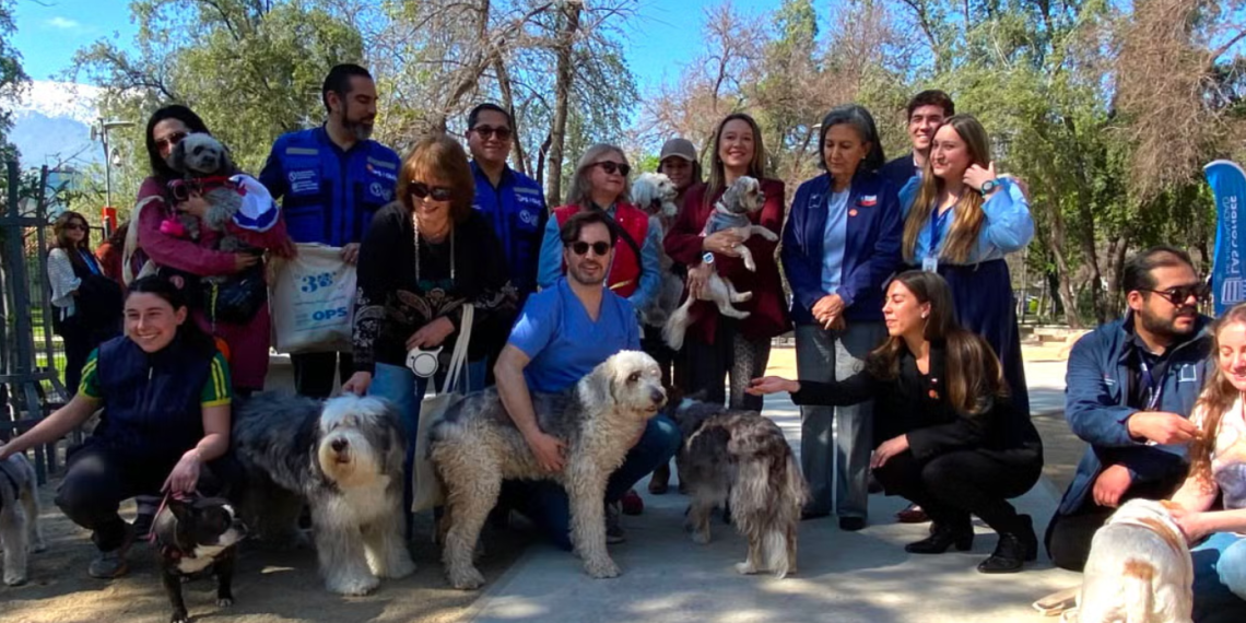 Chile se convierte en el primer país de Sudamérica en eliminar la rabia transmitida por perros