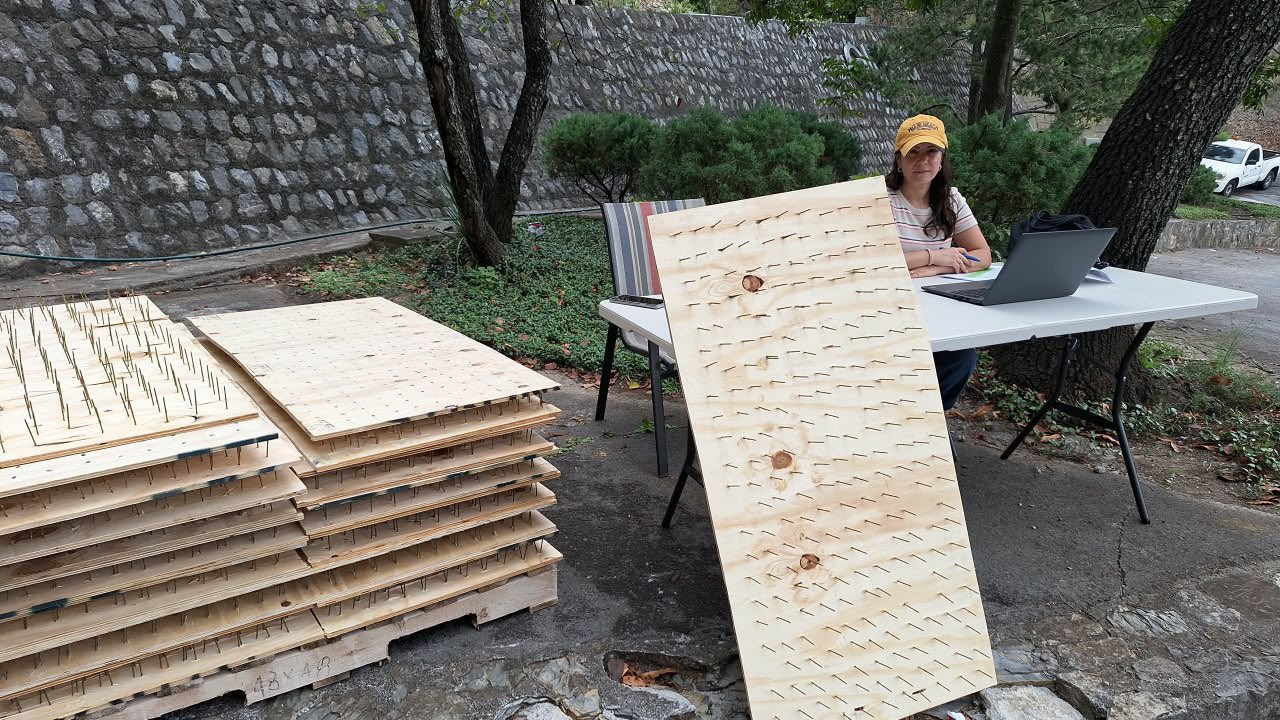 Denuncian reparto de tablas con clavos contra osos en San Pedro; Parques y Vida Silvestre reprueba la medida