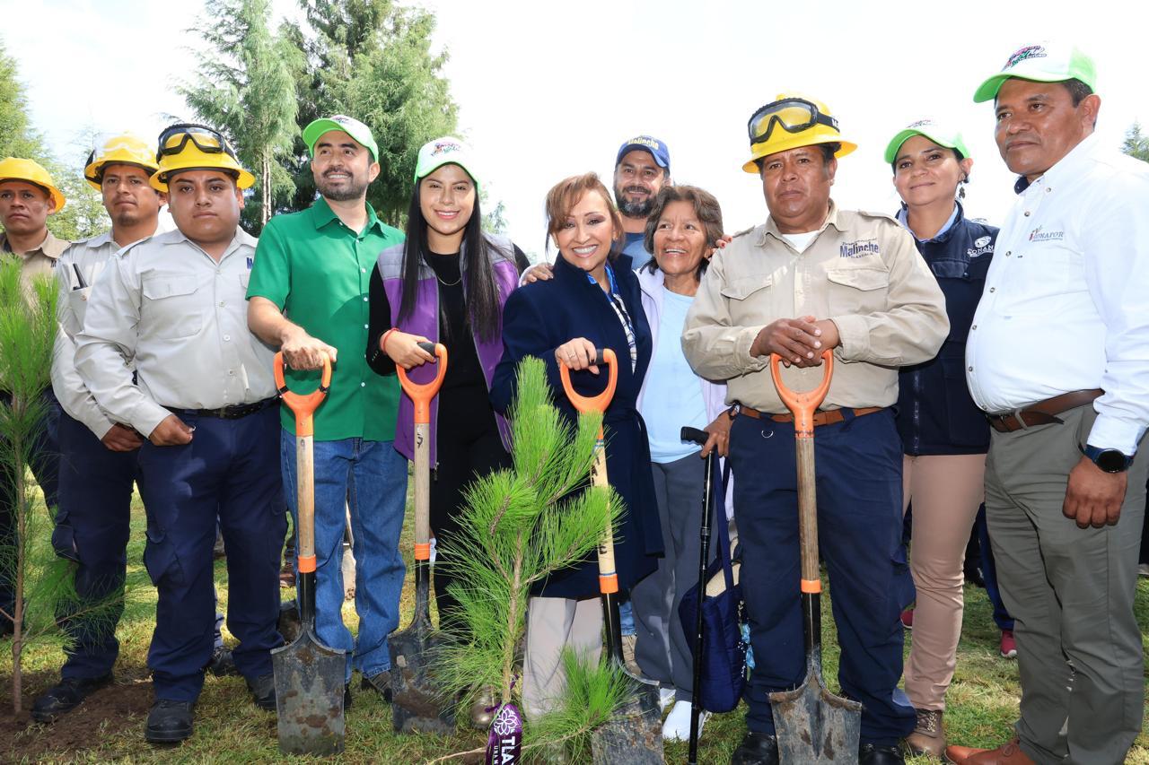 Siembran más de 80 mil árboles en Tlaxcala durante la Jornada Nacional de Reforestación