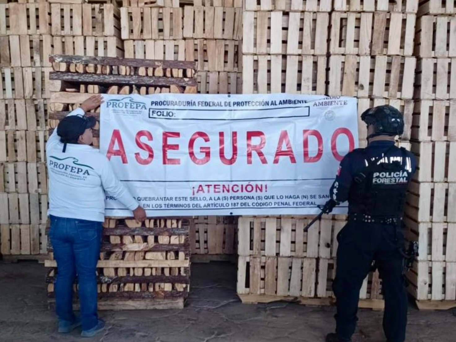 Clausuran dos aserraderos clandestinos y aseguran 330 metros cúbicos de madera en Chignahuapan y Aquixtla