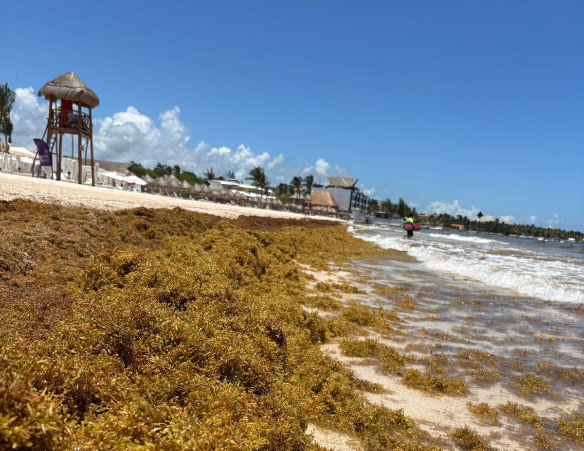 Cambio climático golpea al turismo en México: hoteles enfrentan nuevos riesgos
