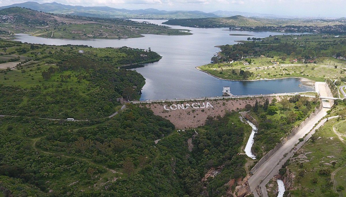 Alerta en la presa de Valsequillo por avistamiento de un cocodrilo