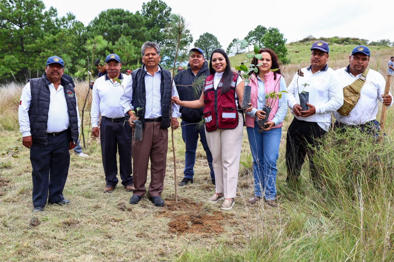 San Pedro Cholula planta más de 200 árboles en jornada de reforestación del Cerro Zapotecas