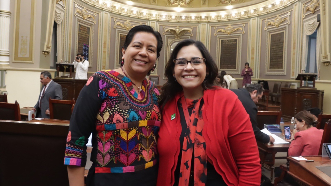 Pide licencia diputada Altamirano; va a SDR