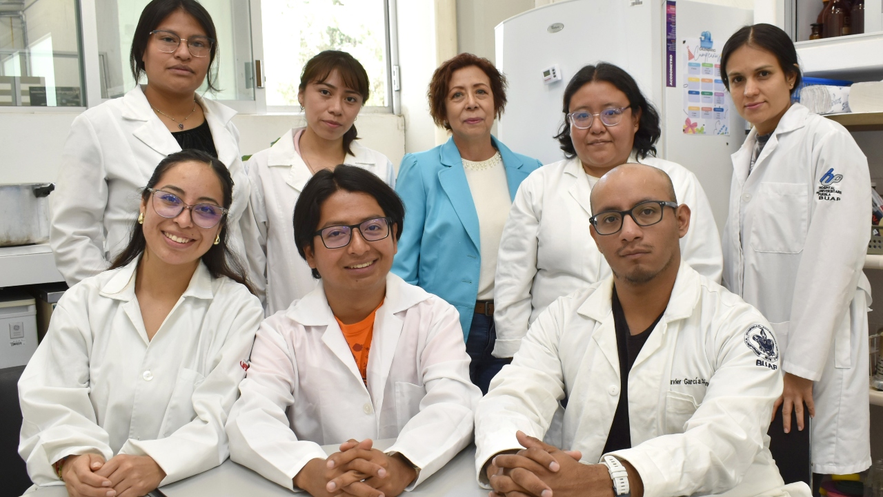 Estudia BUAP beneficios del pápalo y pipicha