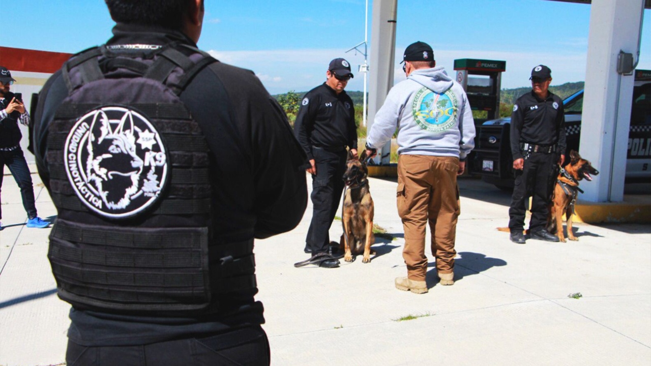 Puebla y Tlaxcala fortalecen unidades caninas: SSP
