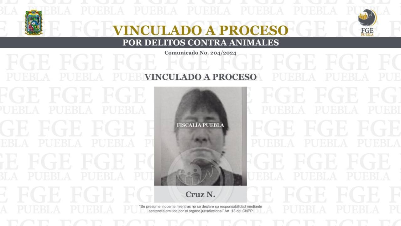 Por atropellar a un perro es vinculado a proceso en Puebla