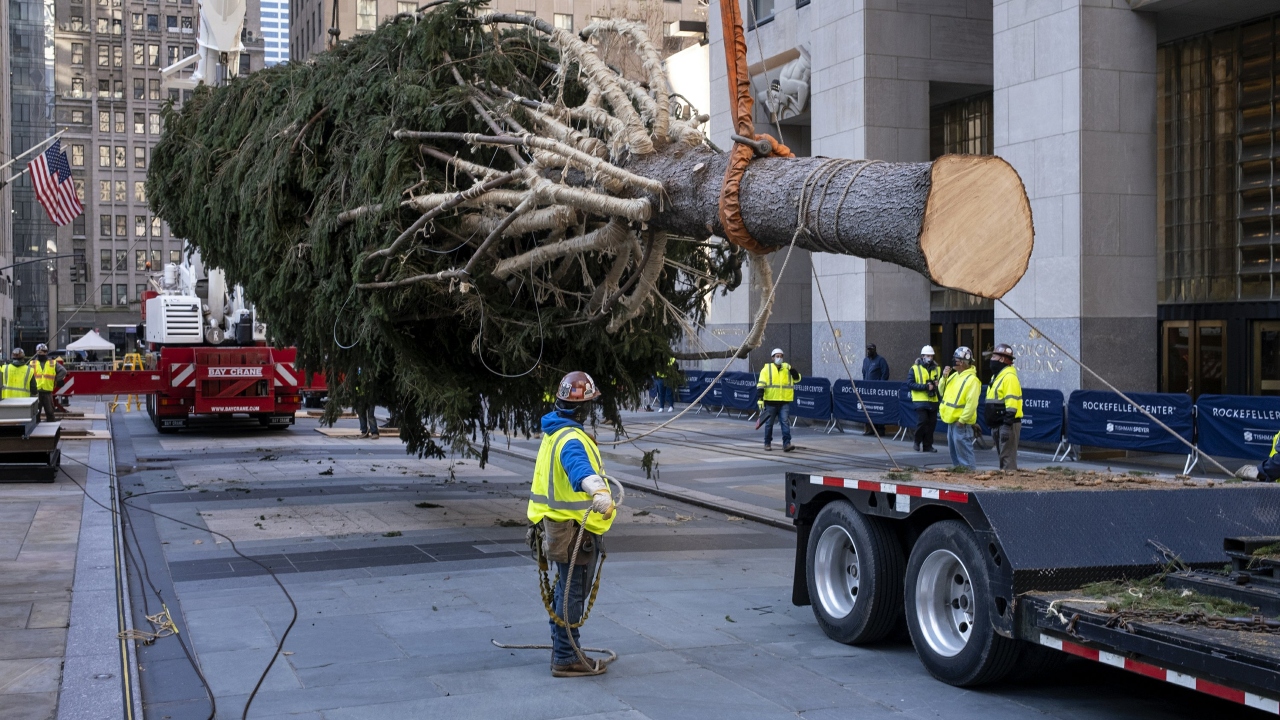 Árbol de Navidad del Rockefeller Center llega a Nueva York