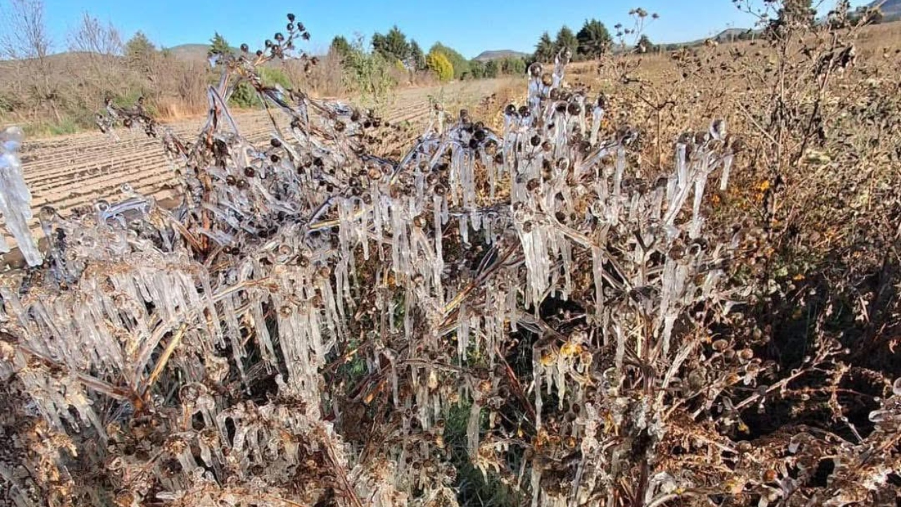 Masa de aire frío deja temperaturas de hasta -3°C
