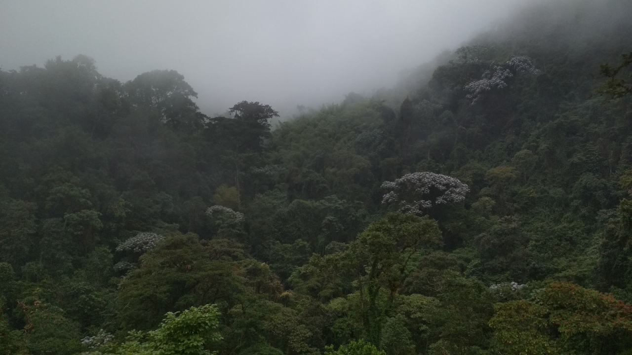 Nuevo frente frío provocará bajas temperaturas