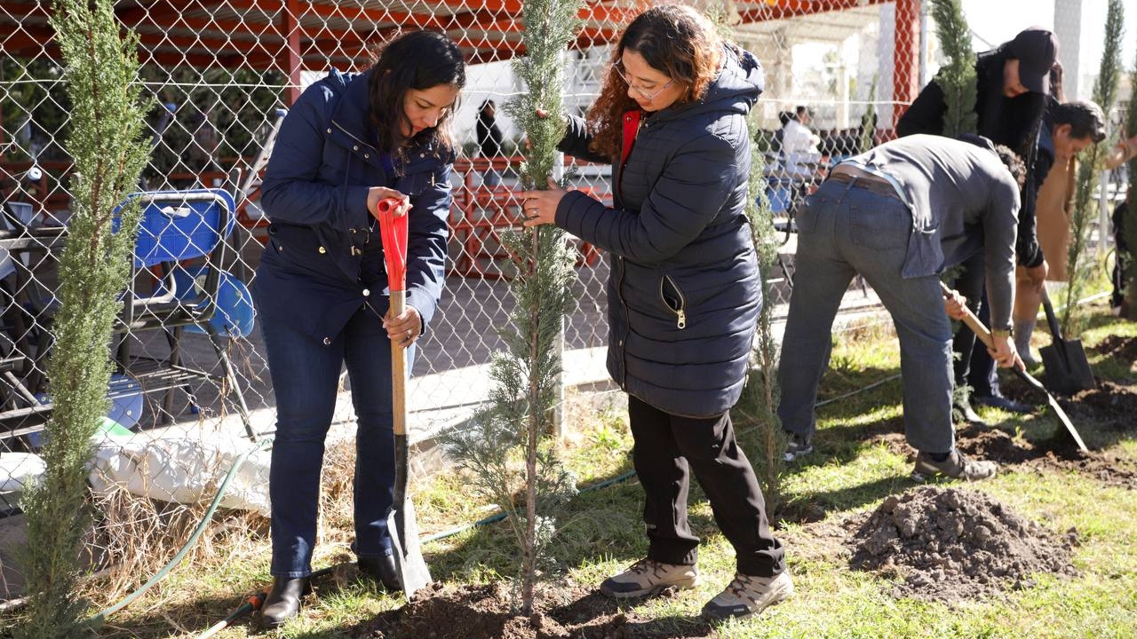 Encabeza Lupita Cuautle programa “Adopta un Árbol”