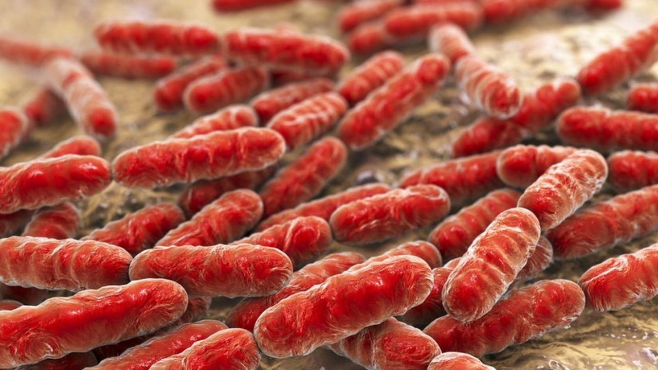 Hospitales bajo revisión para controlar brote de Klebsiella oxytoca