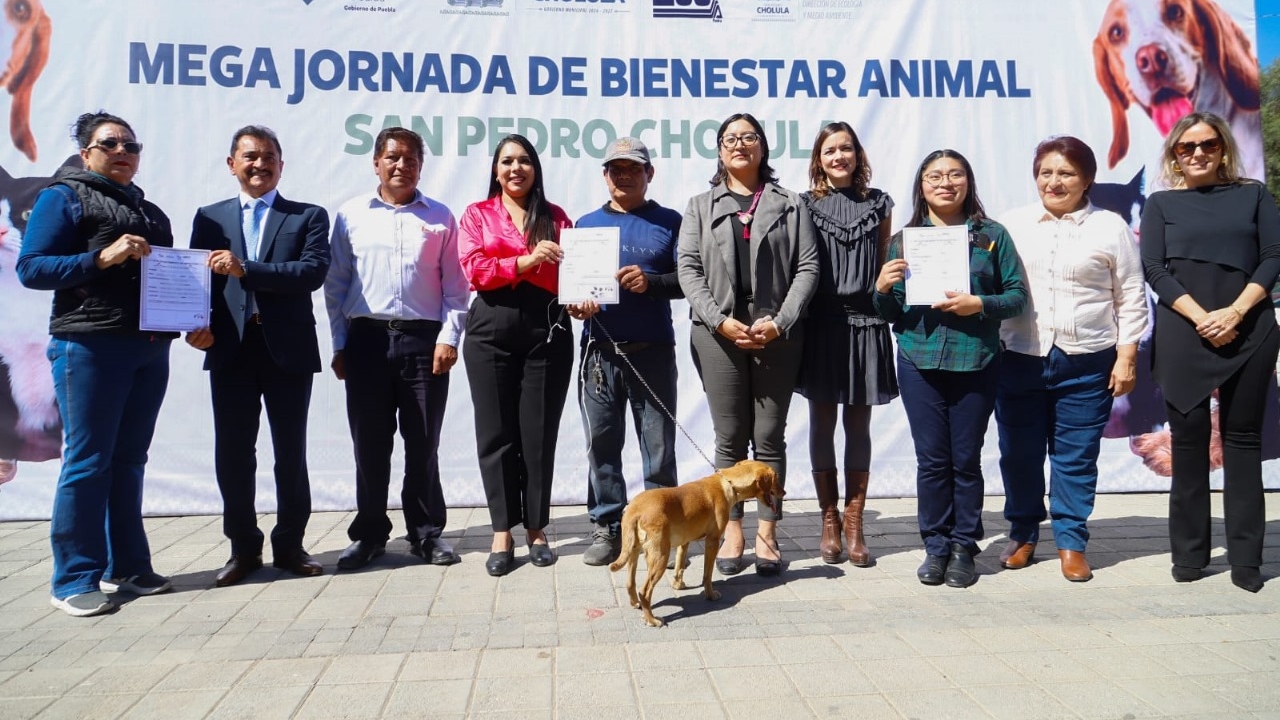 Realiza San Pedro Cholula Jornada de Esterilización