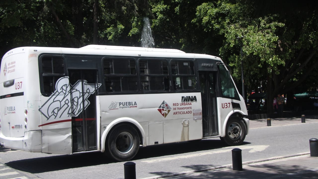 Hoy comienza a operar la línea 4 de RUTA