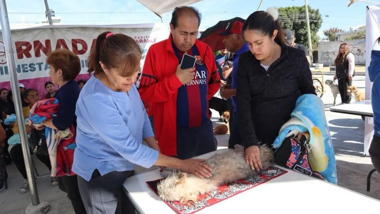 Comuna realiza jornada de Bienestar Animal en Minerales del Sur