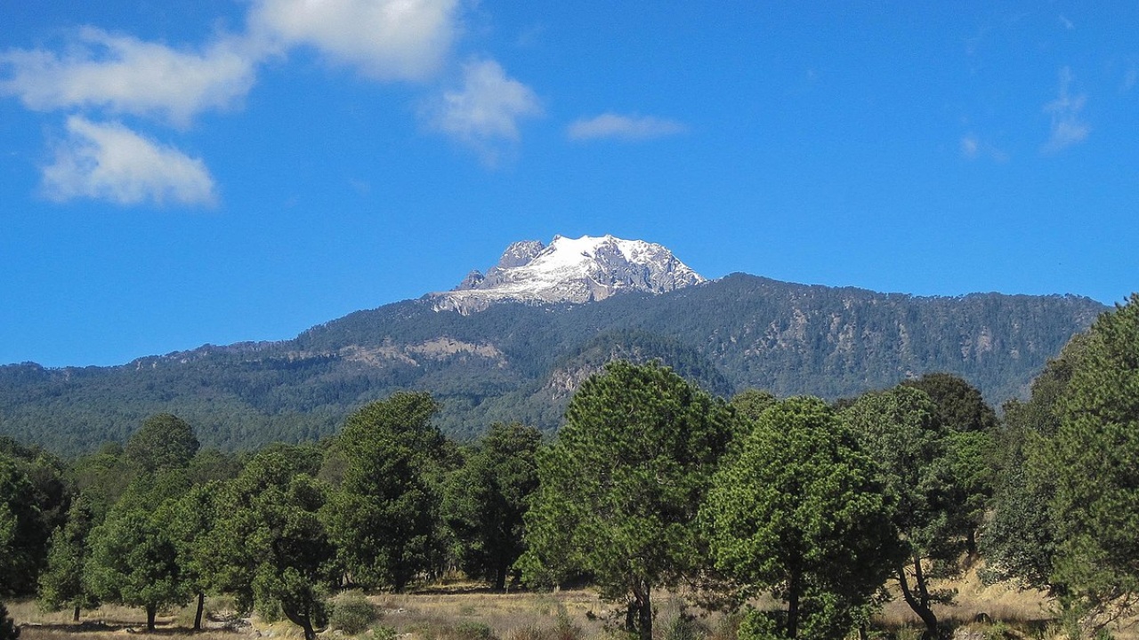 Guardia Forestal reforzará tareas de inteligencia ante incendios