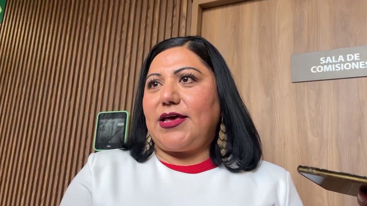 Desechan iniciativas en materia de migración e igualdad