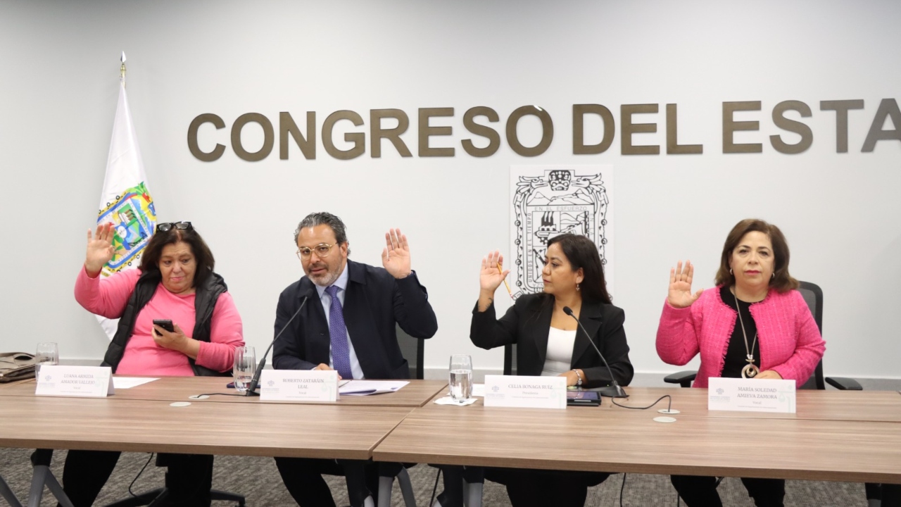Presentan en Congreso propuesta de Encuesta Digital para ONG