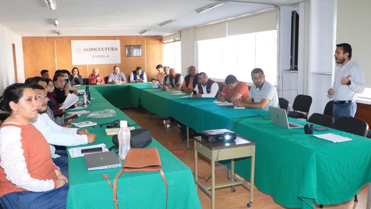 En Puebla 45 municipios reducen riesgo de tuberculosis bovina