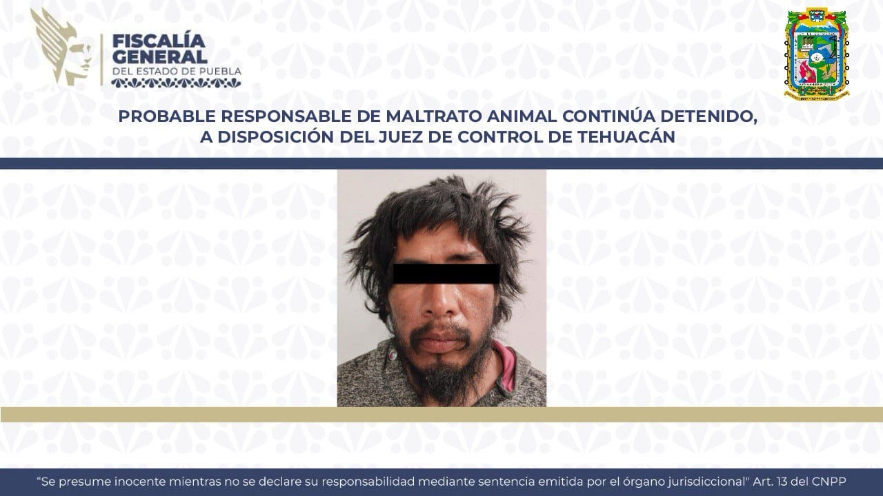 Sigue detenido y bajo proceso agresor de lomito en Tehuacán