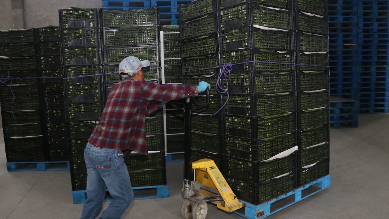 Impulsará estado transporte aéreo para productores poblanos