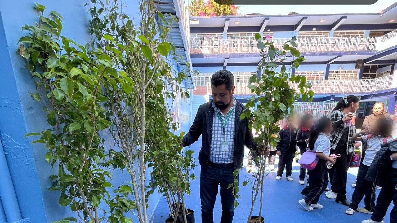Impulsa Texmelucan el cuidado ambiental con donación de árboles