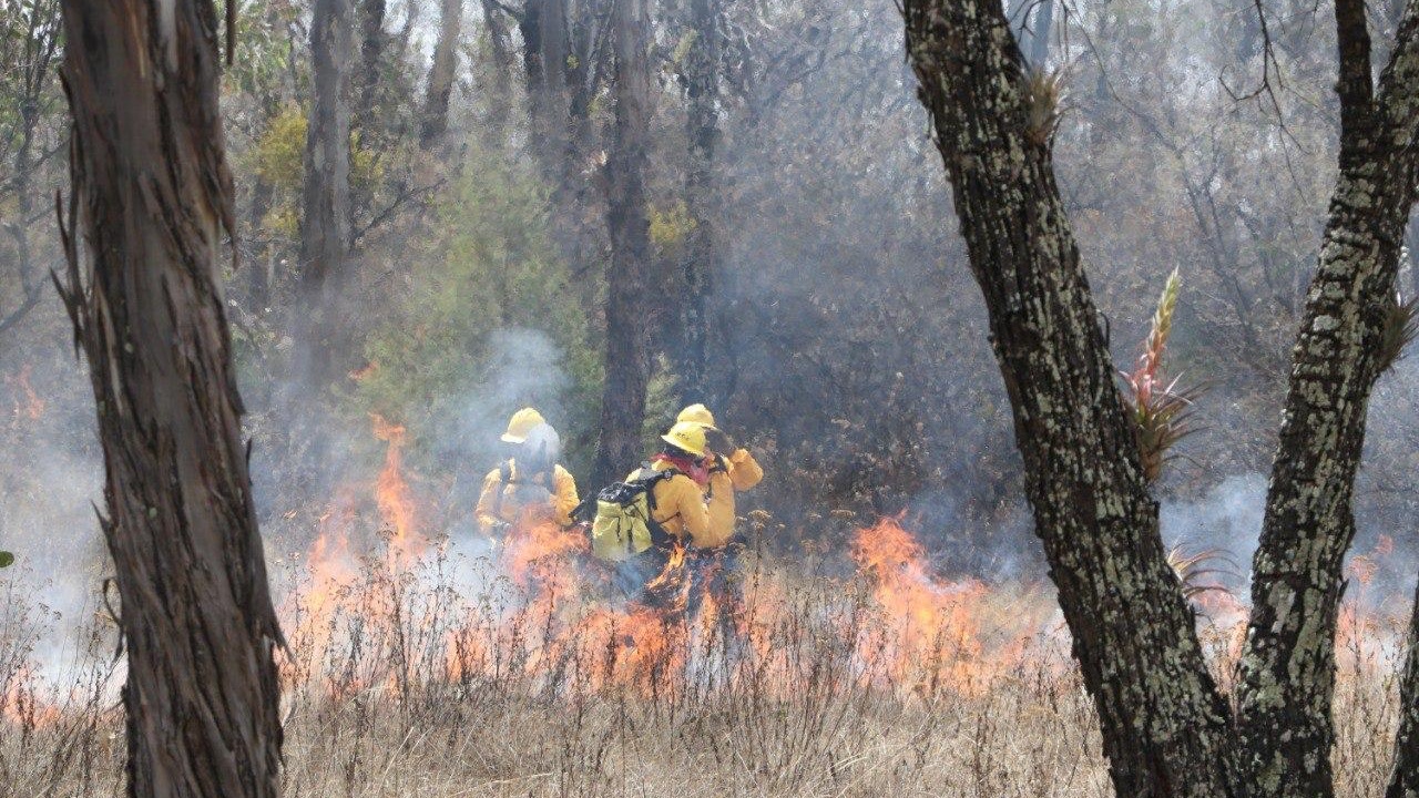 Afirma Armenta que 75% de los incendios forestales son provocados