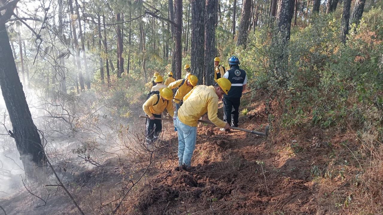 Gobierno de Puebla redobla esfuerzos contra incendios forestales