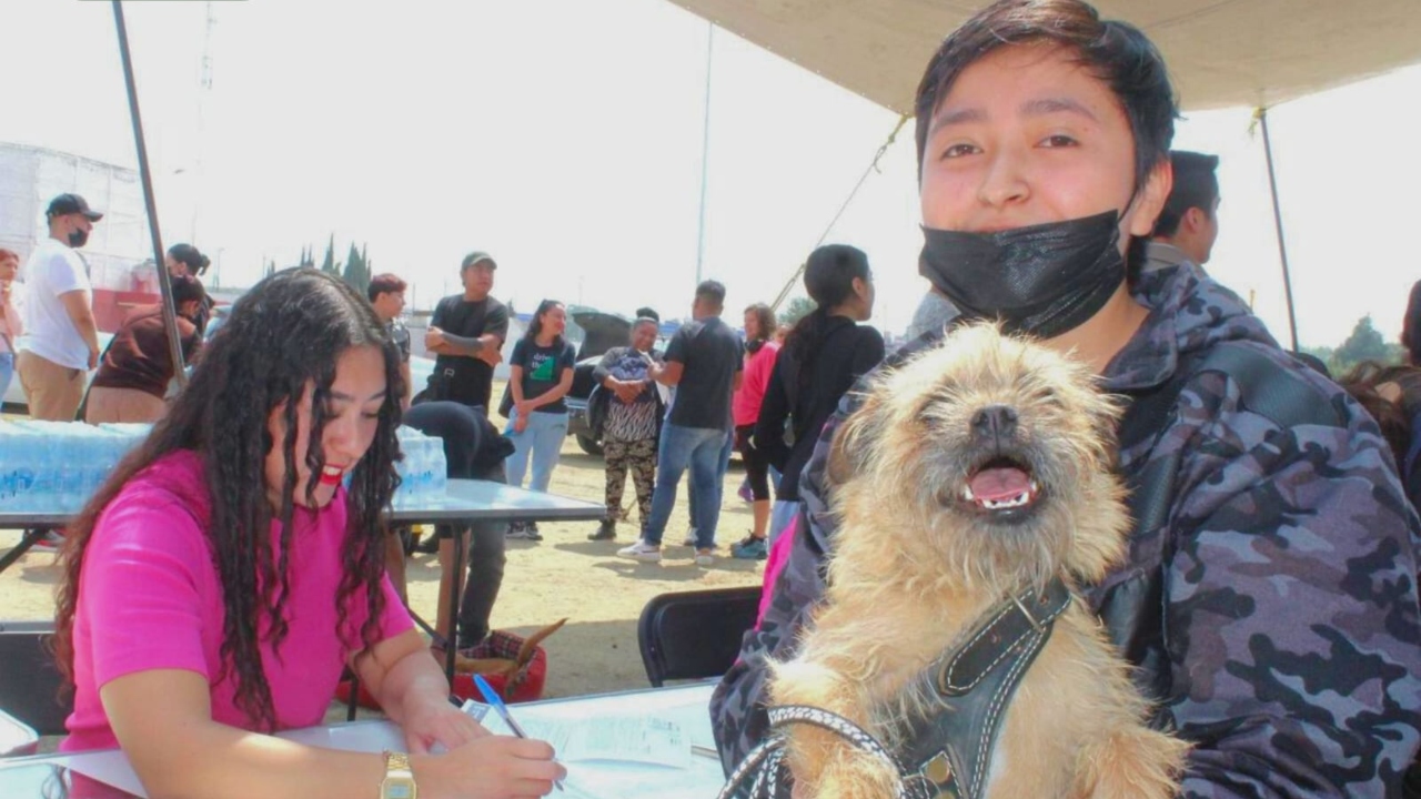 Realizan primera macro jornada de esterilización animal en Texmelucan