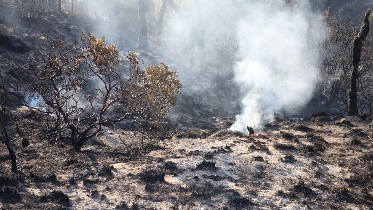 Puebla refuerza acciones contra incendios forestales