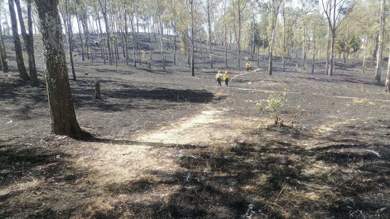 Cholula sofoca más de 20 incendios en el Cerro Zapotecas
