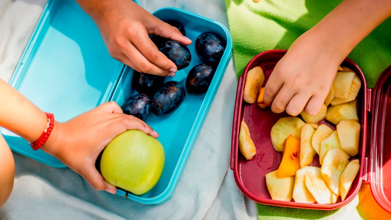 Nuevos hábitos alimenticios, promueve Vida Saludable: SEP