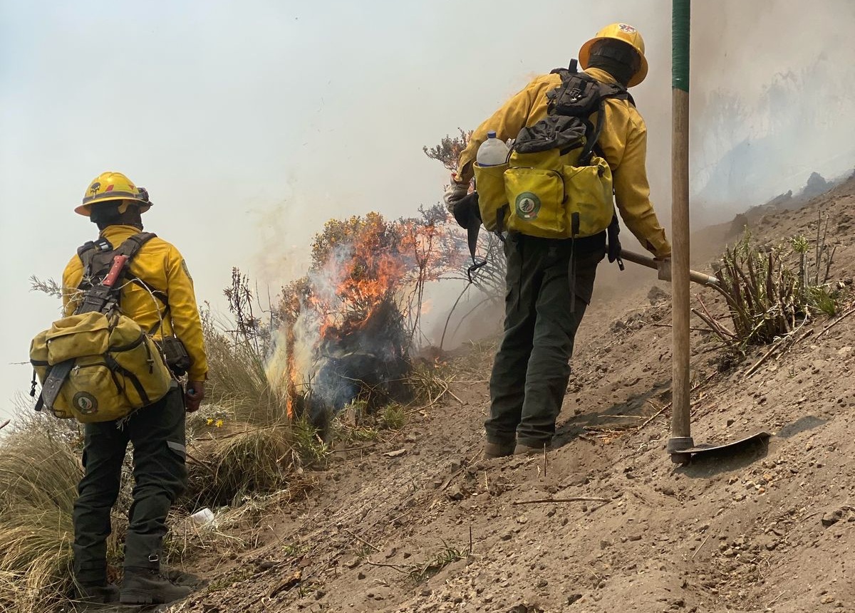 Puebla, sexta entidad con mayor número de incendios forestales