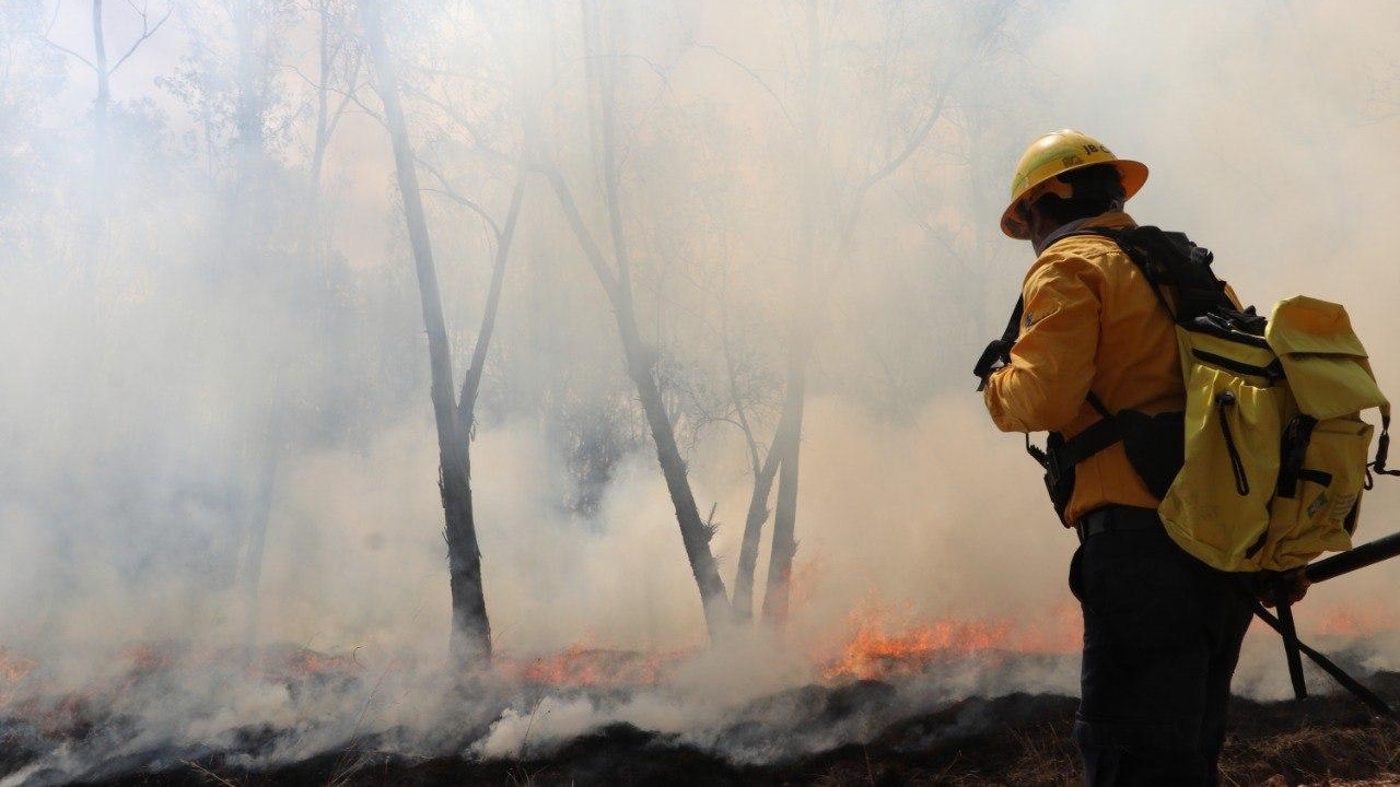 Puebla ocupa el puesto 13 por incendios forestales, según Igavim