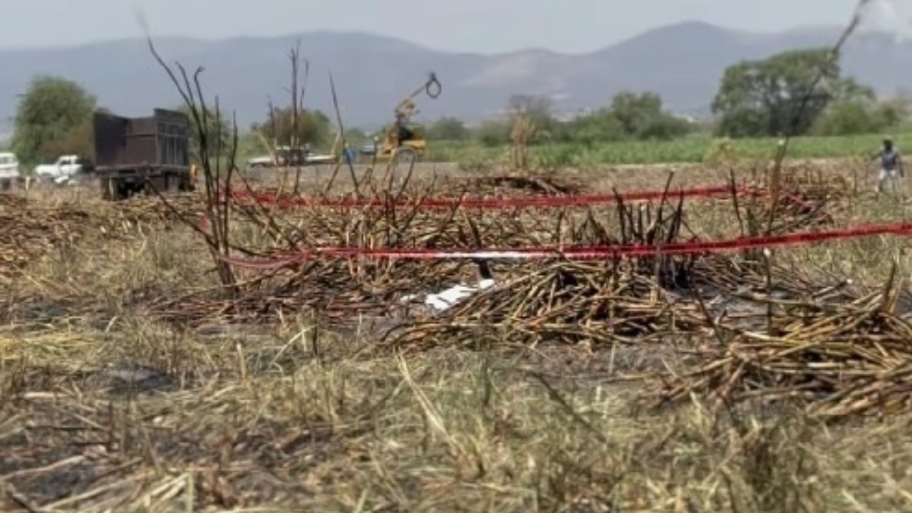 Localizan cuerpo calcinado en campo de caña en Izúcar de Matamoros