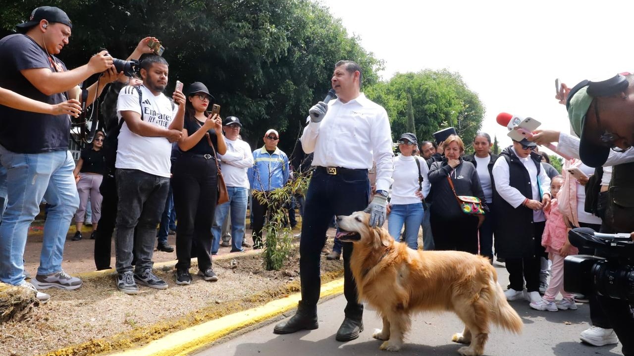 Puebla tendrá una Casa de Seres Sintientes para el bienestar animal