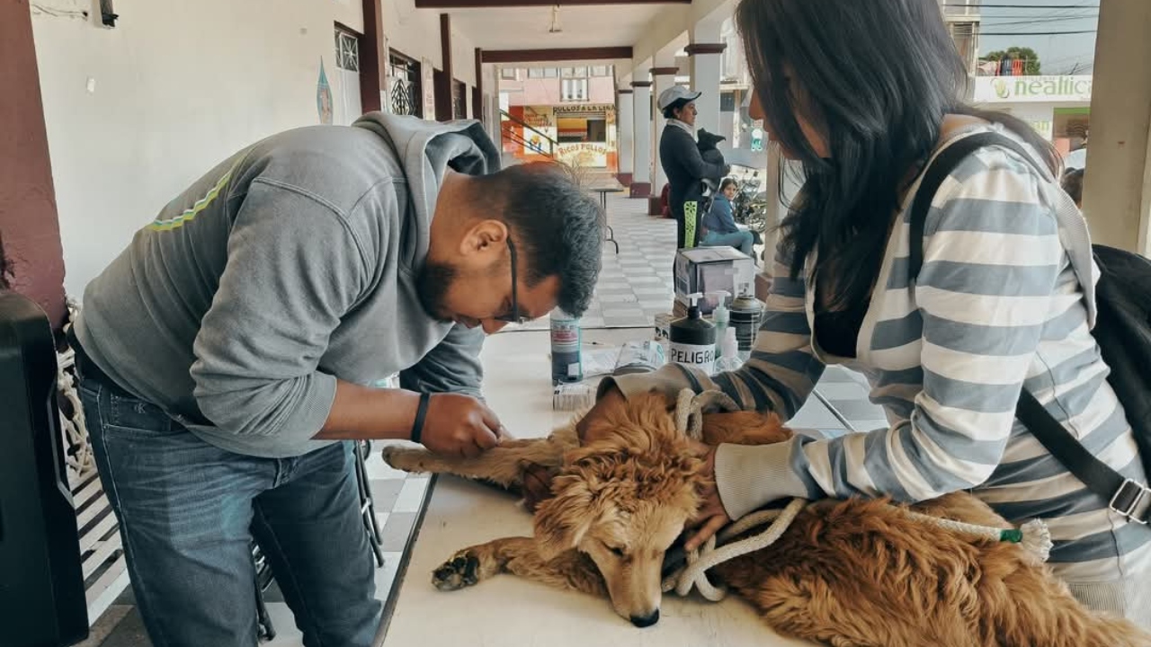 Gobierno de San Martín impulsa campañas por el bienestar animal
