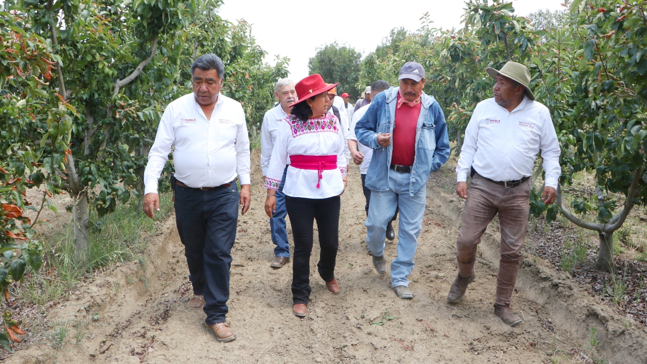 SADR supervisa cultivos en San Juan Tlale