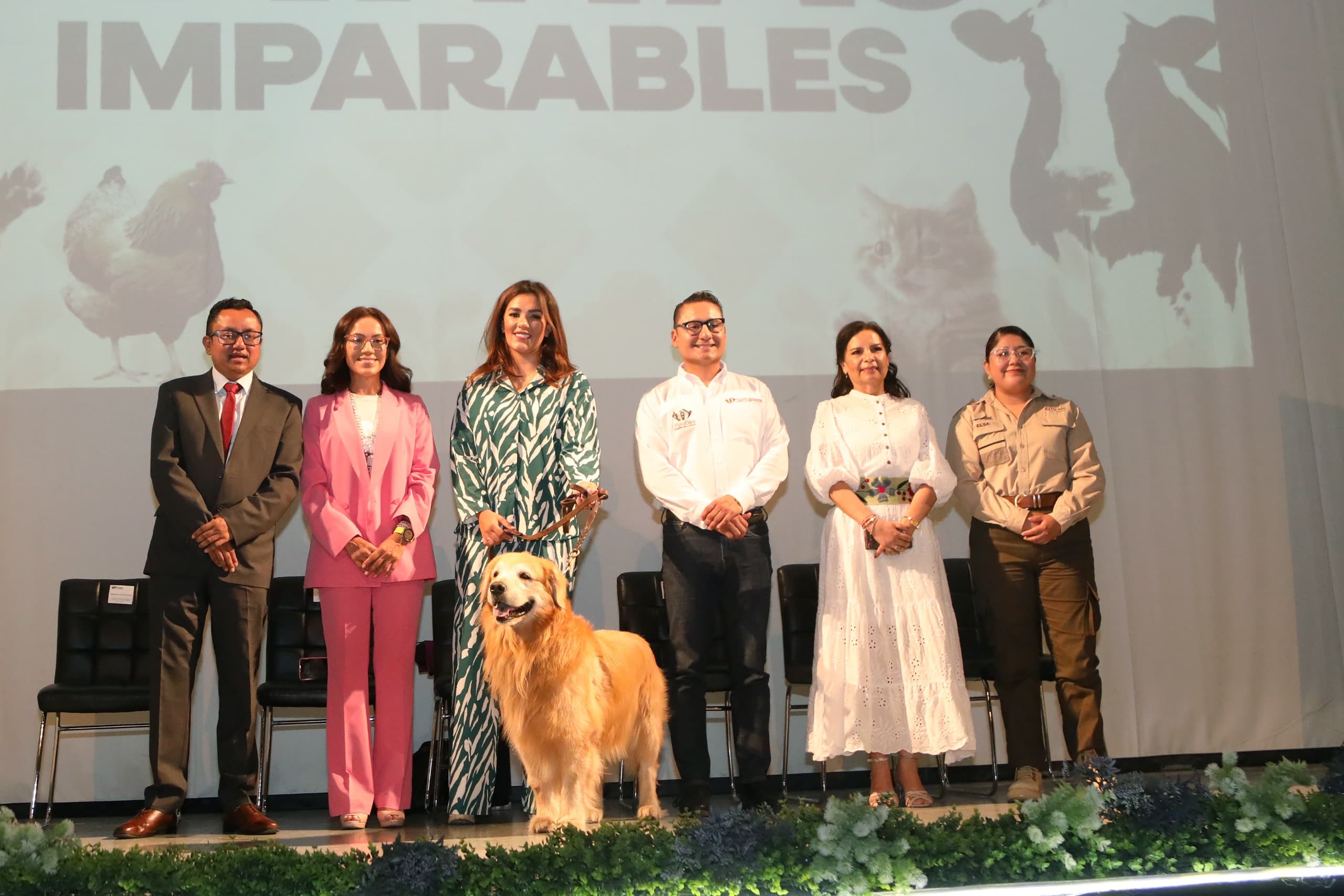 Por el bienestar animal, el Gobierno de la Ciudad realizó el foro participativo \"Patitas Imparables\"