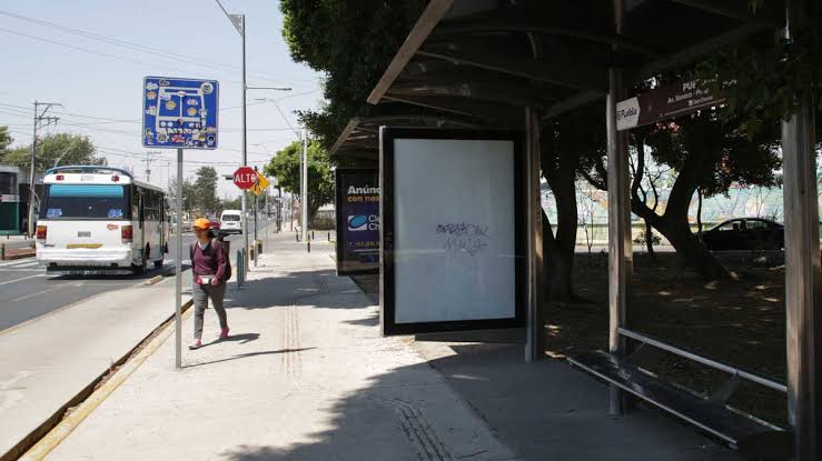 Ayuntamiento de Chedraui planea concesionar 400  paraderos de transporte