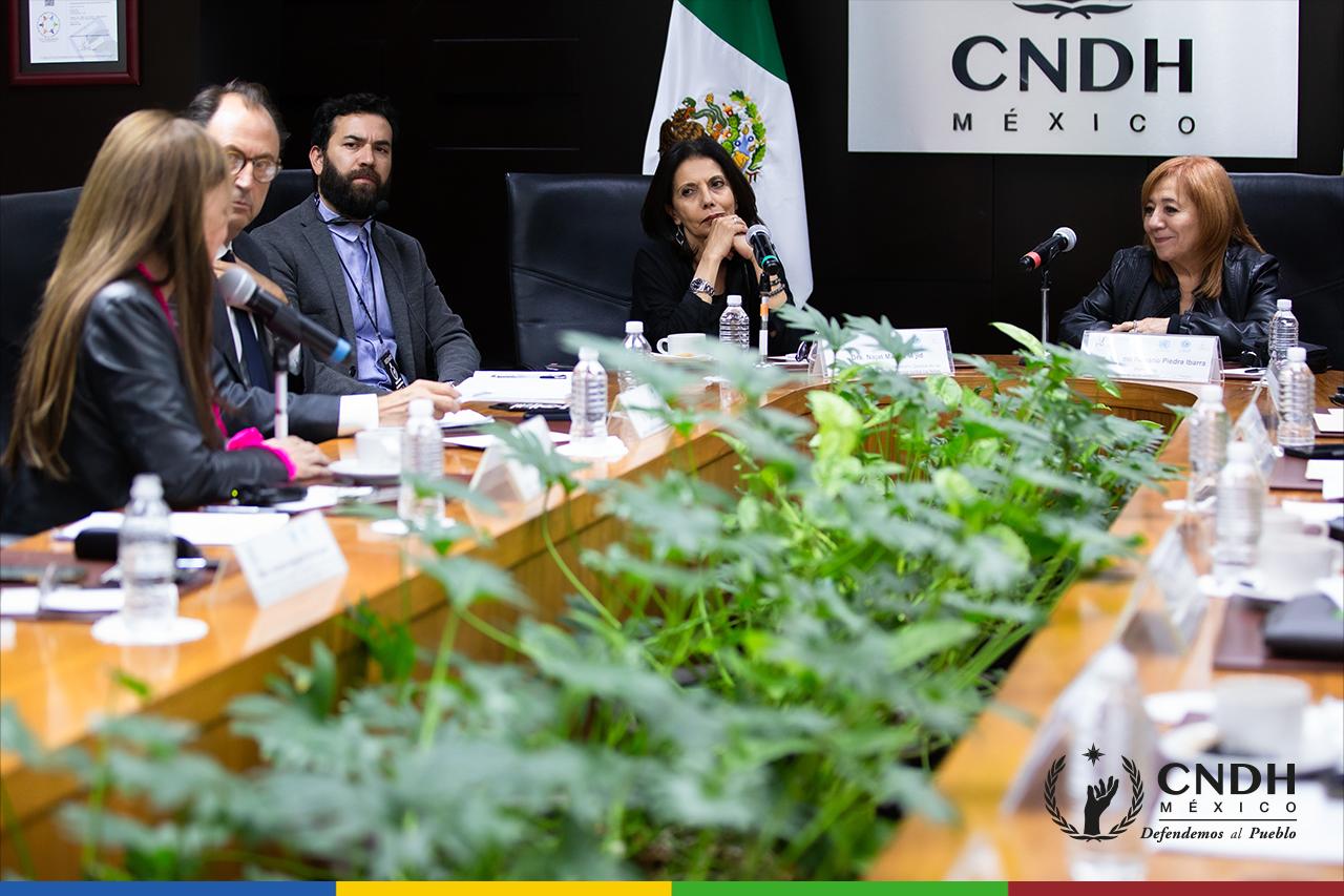 CNDH y ONU refuerzan estrategias para proteger los derechos de niñas, niños y adolescentes