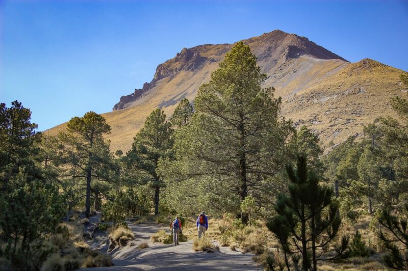 Dan luz verde al Ecoparque en La Malinche tras evaluación ambiental