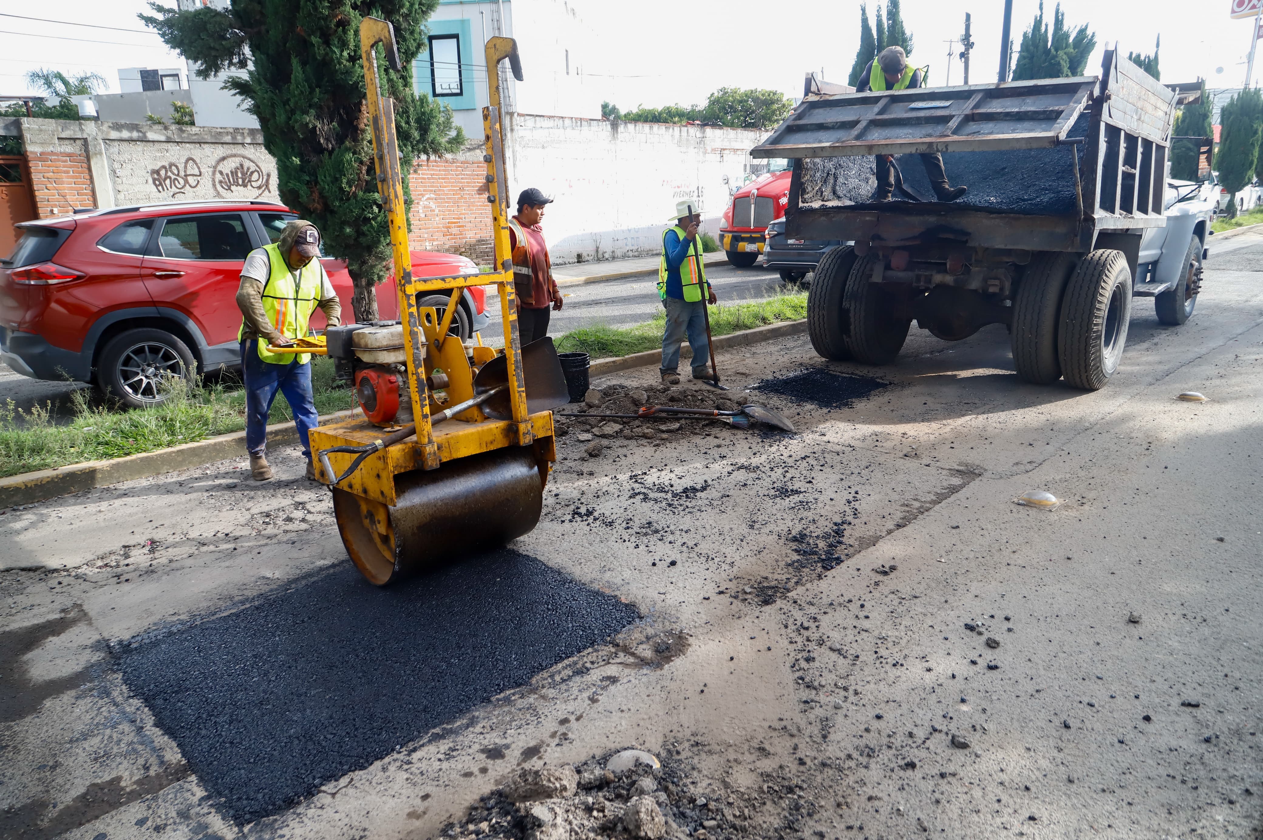 Tonantzin Fernández inicia tercera etapa del Bachetón